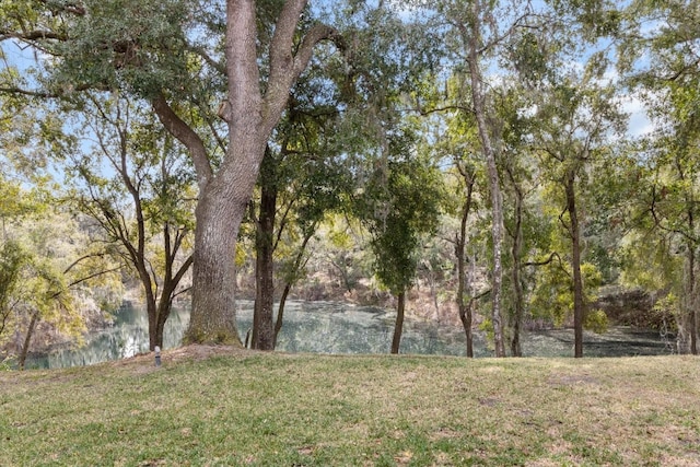 view of yard featuring a water view