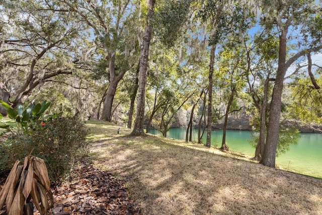 view of yard featuring a water view