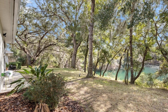 view of yard featuring a water view