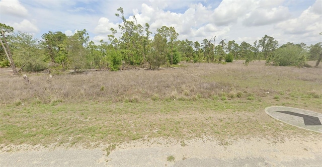 Listing photo 2 for 1207 Garibaldi St E, Lehigh Acres FL 33974