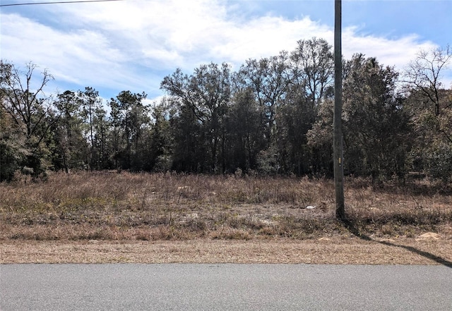 SW Beach Blvd, Dunnellon FL, 34431 land for sale