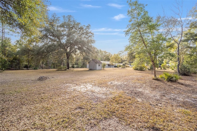 view of yard with a storage shed