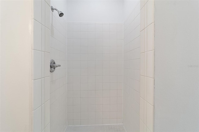 room details with tiled shower