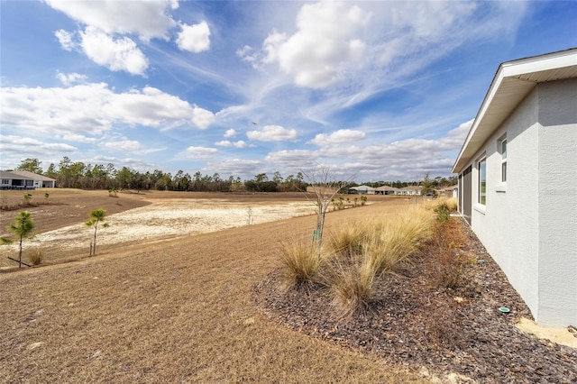 view of yard with a rural view