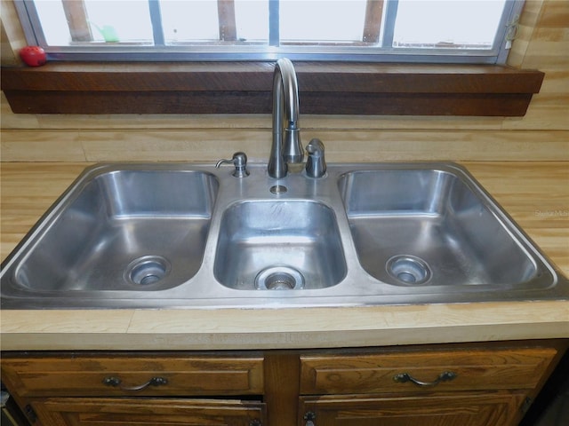 interior details featuring sink