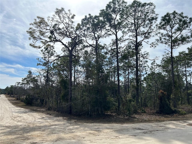 TBD SE 23rd Pl, Morriston FL, 32668 land for sale