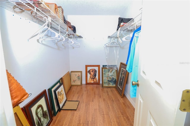 spacious closet with light wood-type flooring