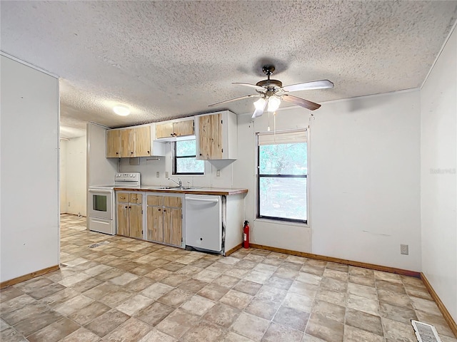 kitchen featuring sink, white appliances, a textured ceiling, and ceiling fan