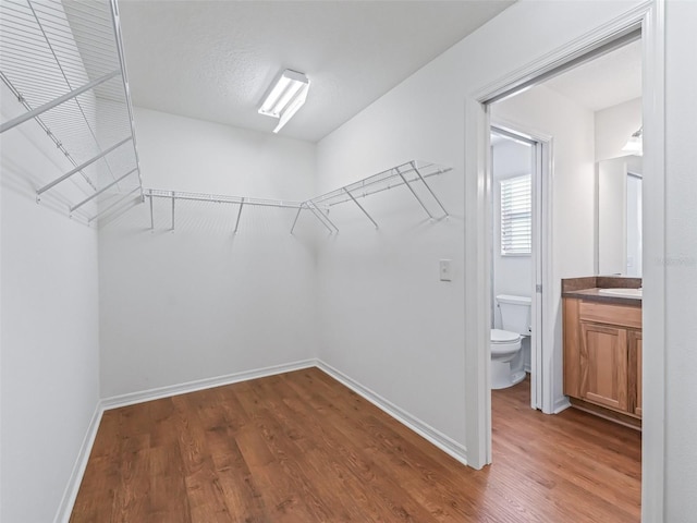 walk in closet with dark hardwood / wood-style flooring