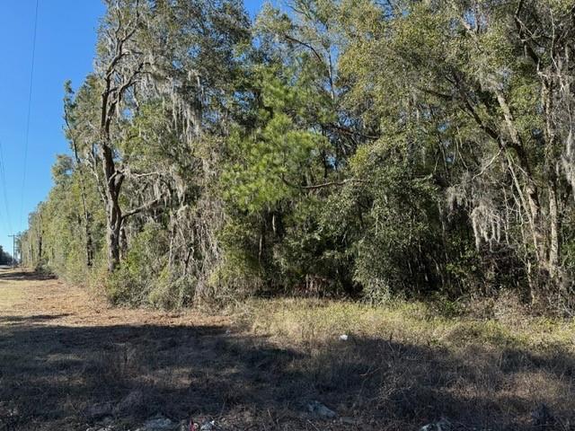 17391 NE 60th St, Williston, FL 32696 - photo 6