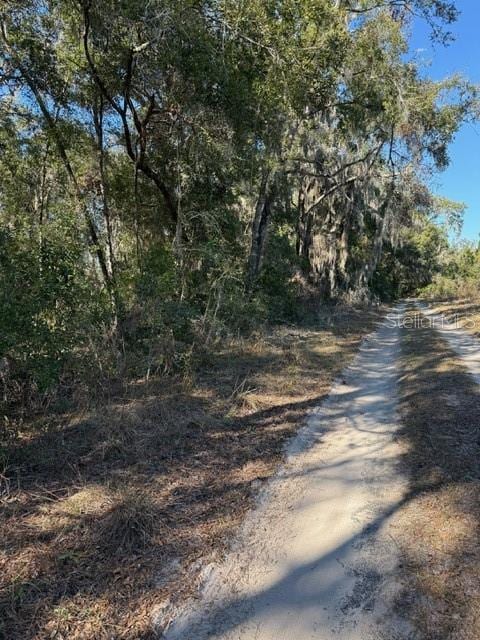 17391 NE 60th St, Williston, FL 32696 - photo 9