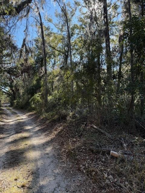 17391 NE 60th St, Williston, FL 32696 - photo 11