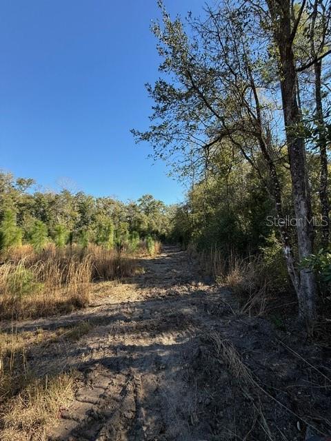 17391 NE 60th St, Williston, FL 32696 - photo 14