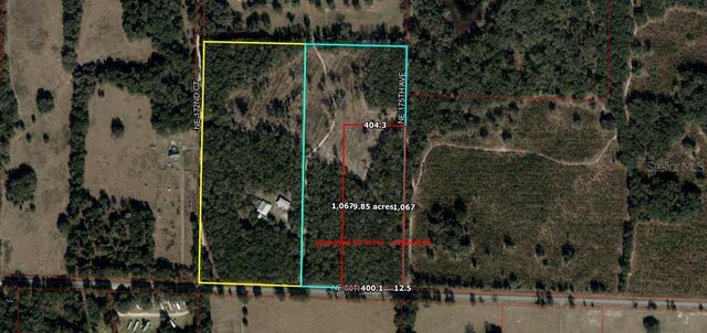 17391 NE 60th St, Williston, FL 32696 - photo 20