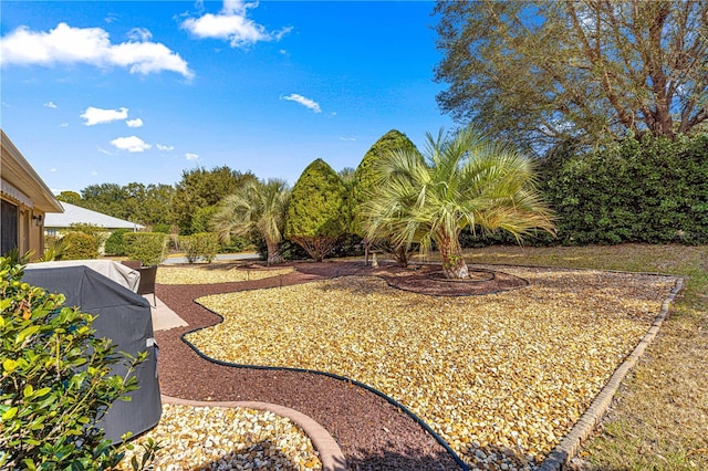 view of yard with a patio