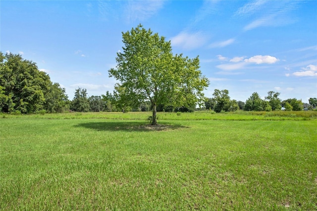 17700 SE 155th Ave, Weirsdale FL, 32195 land for sale