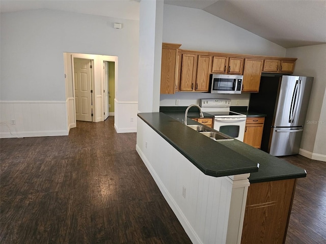 kitchen with lofted ceiling, sink, appliances with stainless steel finishes, dark hardwood / wood-style flooring, and kitchen peninsula