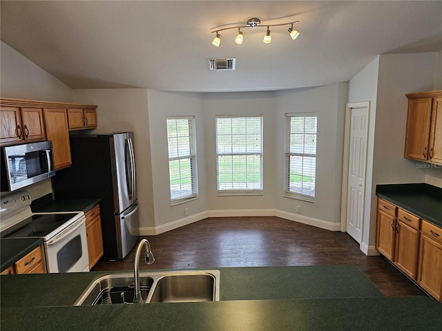 kitchen with appliances with stainless steel finishes, dark hardwood / wood-style flooring, and sink