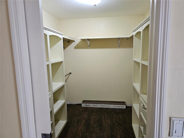 walk in closet with dark hardwood / wood-style floors