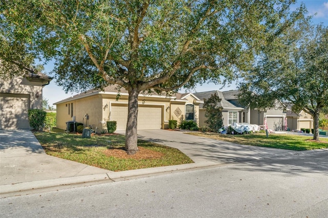 ranch-style home featuring central AC and a front lawn