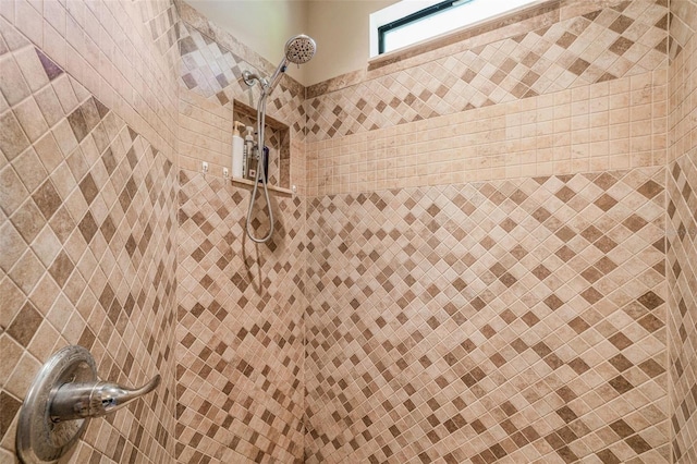 interior details featuring tiled shower