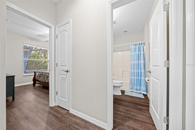 hallway featuring dark hardwood / wood-style floors