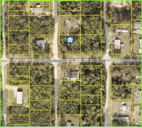 Oak St, Paisley FL, 32767 land for sale