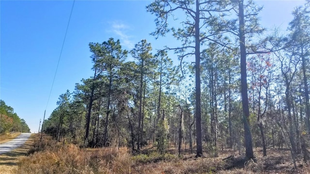 TBD NW Amberjack Ave, Dunnellon FL, 34431 land for sale