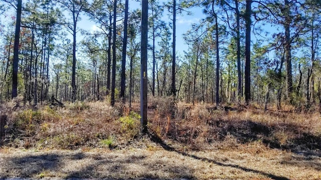 Listing photo 2 for TBD NW Amberjack Ave, Dunnellon FL 34431