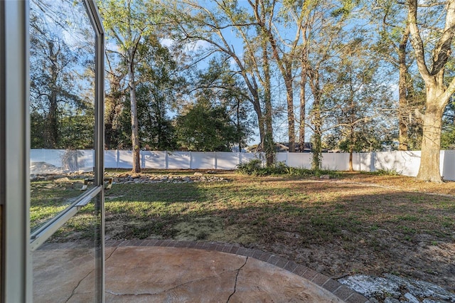 view of yard with a fenced backyard and a patio