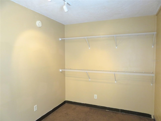 spacious closet featuring dark carpet