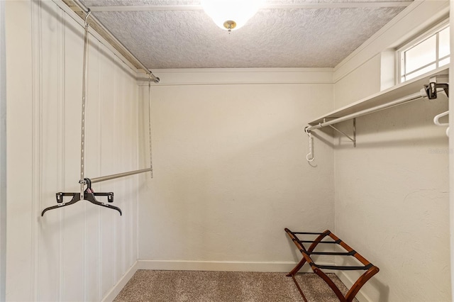 spacious closet with carpet flooring