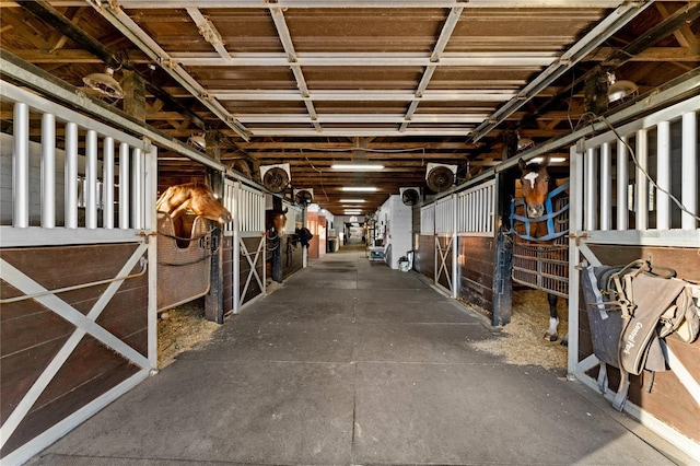 view of horse barn