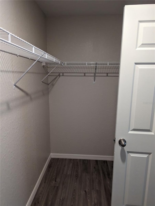 walk in closet featuring dark wood-type flooring