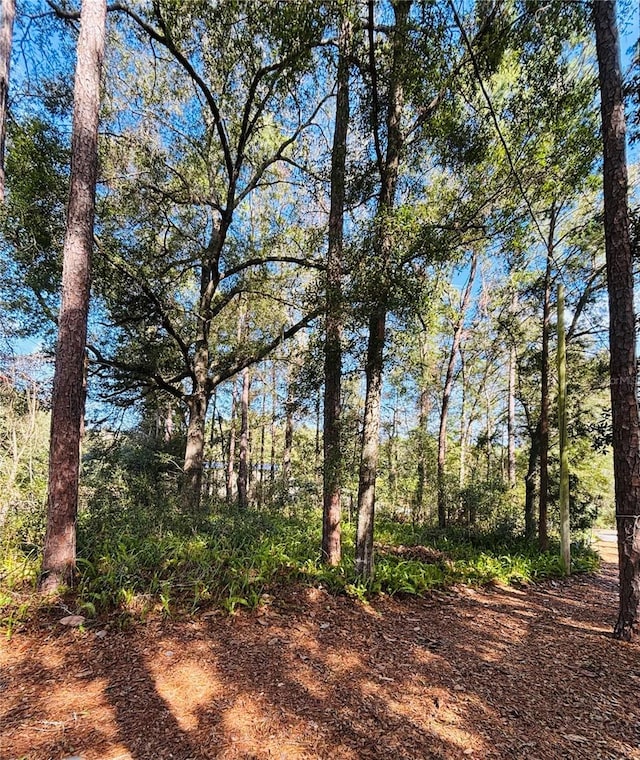 view of landscape