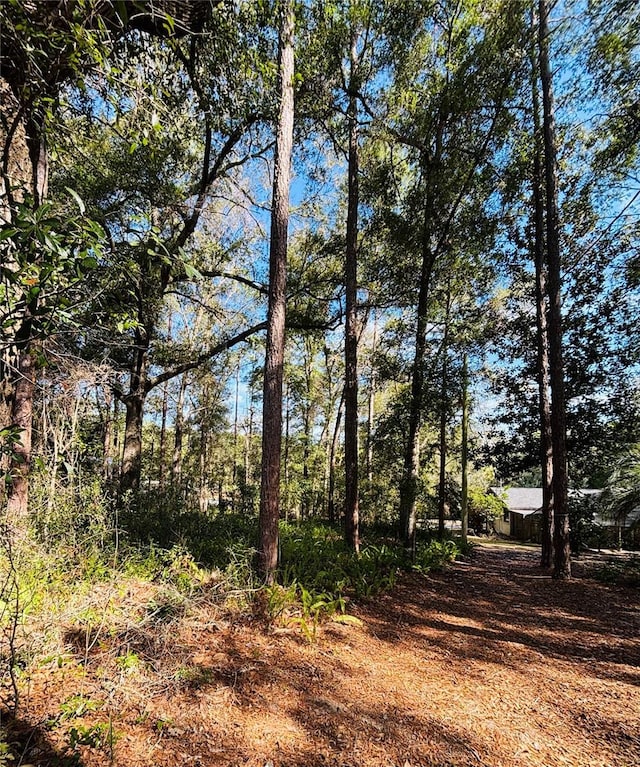 view of local wilderness