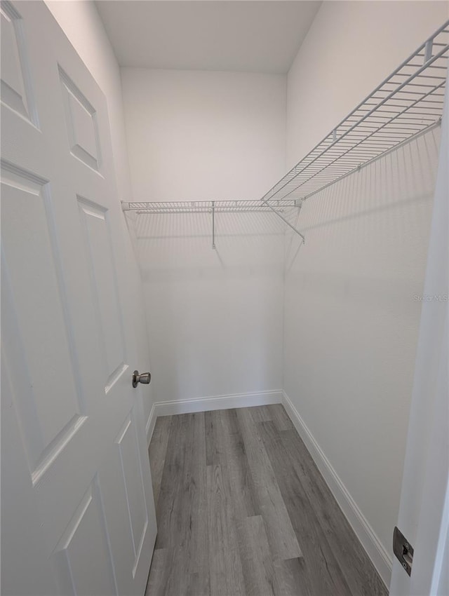 spacious closet with hardwood / wood-style flooring