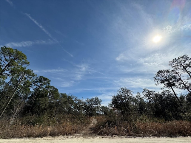 SW 175th Ct, Dunnellon FL, 34432 land for sale