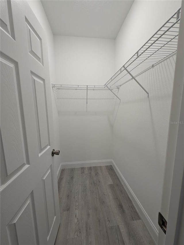 walk in closet featuring hardwood / wood-style floors