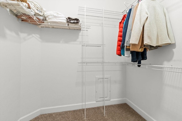 spacious closet featuring carpet floors