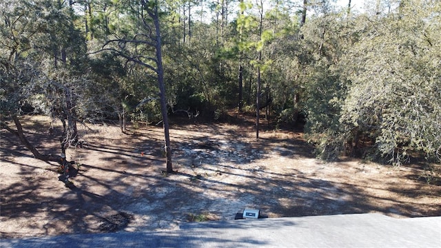 5625 SW 181st Ct, Dunnellon, FL 34432 - view of street featuring a view of trees