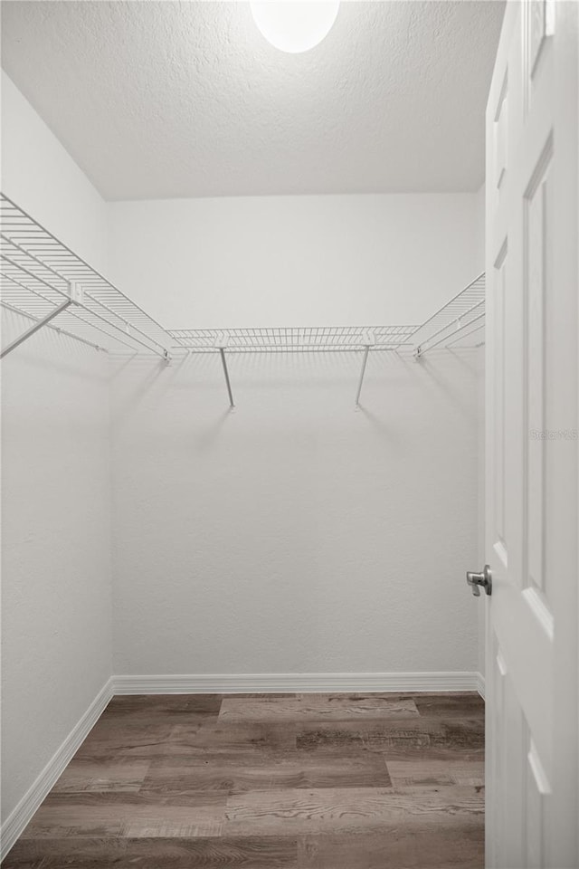 walk in closet featuring hardwood / wood-style flooring