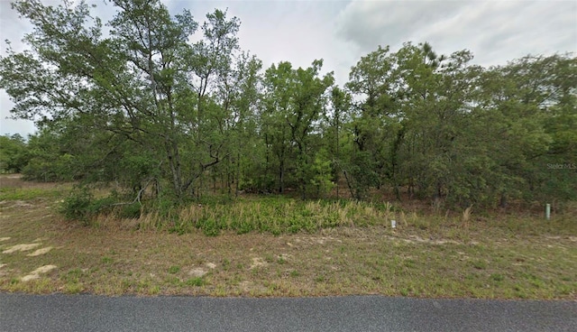 1343 W Dupont Dr, Citrus Springs FL, 34434 land for sale