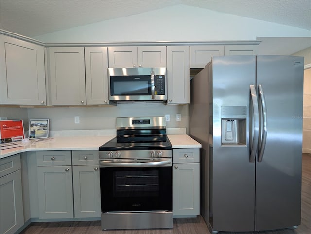 14259 SE 33rd Ter, Summerfield, FL 34491 - kitchen with gray cabinets, vaulted ceiling, stainless steel appliances, and light countertops
