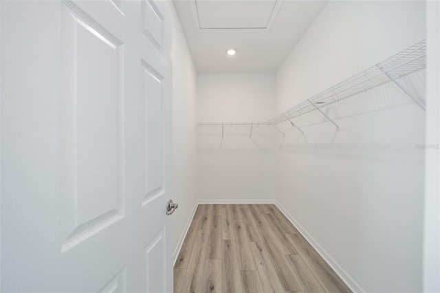 walk in closet featuring light wood-type flooring