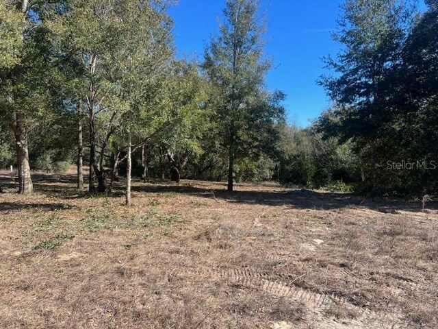 708 S Savary Ave, Inverness FL, 34453 land for sale