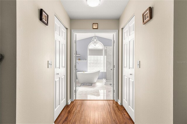 5137 NW 20th Pl, Ocala, FL 34482 - photo 23