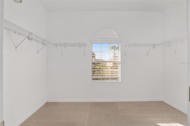 walk in closet with light colored carpet