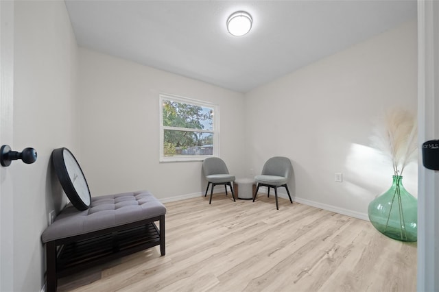 living area featuring light wood-type flooring