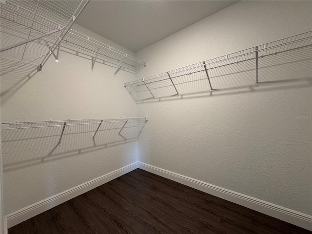 walk in closet with dark wood finished floors